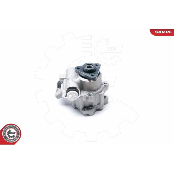 Servopump Esen skv 10SKV224 ESEN SKV