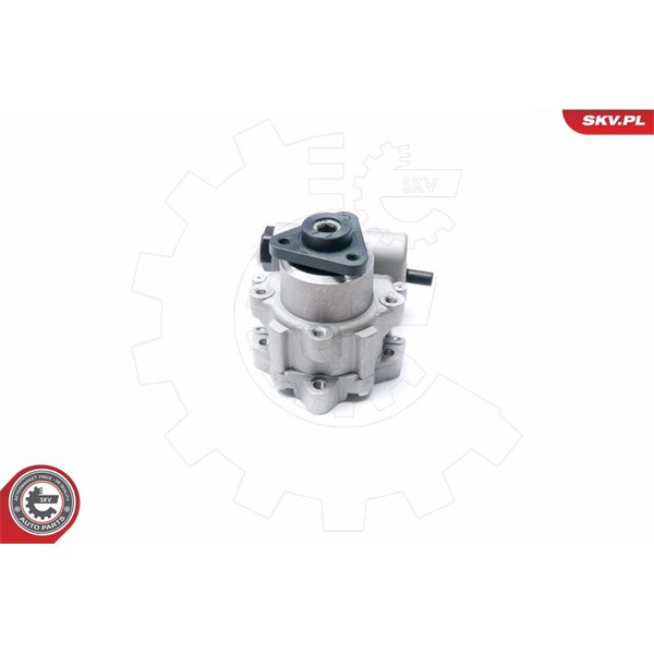 Servopump Esen skv 10SKV224 ESEN SKV