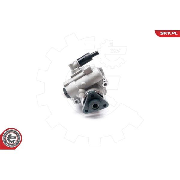 Servopump Esen skv 10SKV224 ESEN SKV