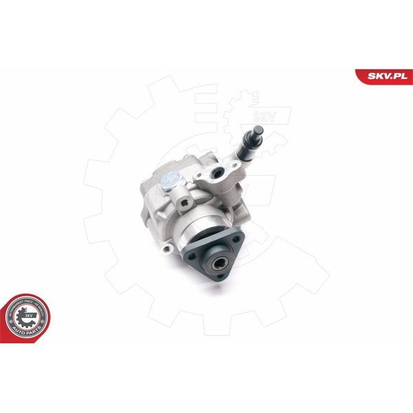 Servopump Esen skv 10SKV226 ESEN SKV
