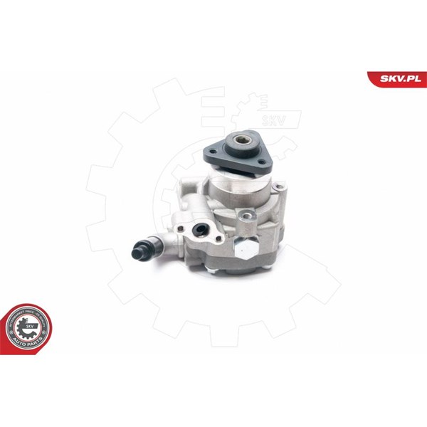 Servopump Esen skv 10SKV226 ESEN SKV