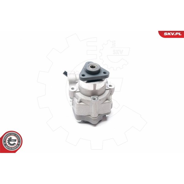 Servopump Esen skv 10SKV226 ESEN SKV