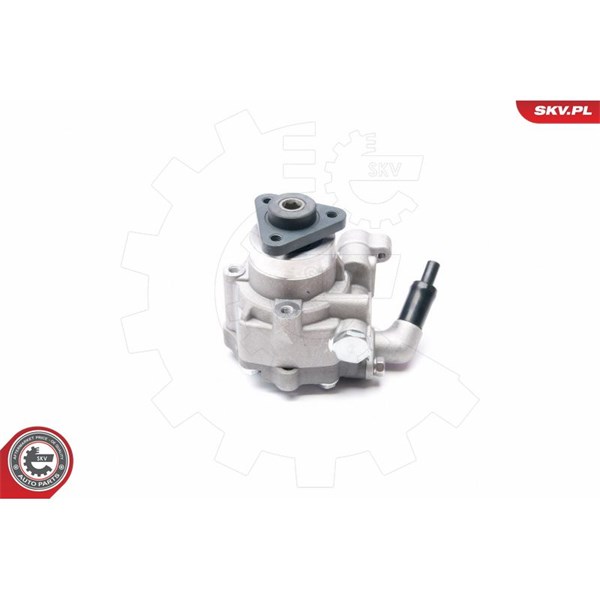Servopump Esen skv 10SKV226 ESEN SKV
