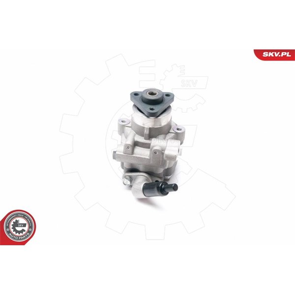Servopump Esen skv 10SKV226 ESEN SKV