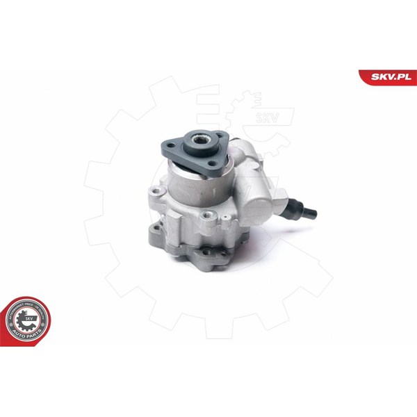 Servopump Esen skv 10SKV233 ESEN SKV