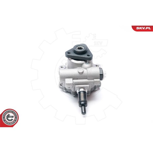 Servopump Esen skv 10SKV233 ESEN SKV