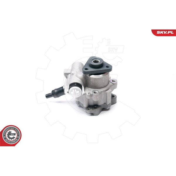 Servopump Esen skv 10SKV233 ESEN SKV