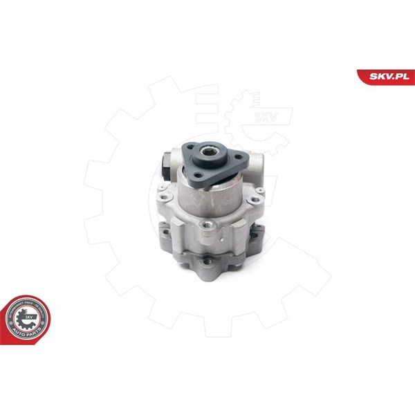 Servopump Esen skv 10SKV233 ESEN SKV