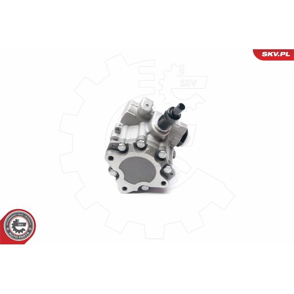 Servopump Esen skv 10SKV233 ESEN SKV