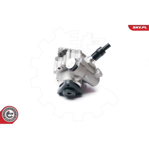 Servopump Esen skv 10SKV233 ESEN SKV