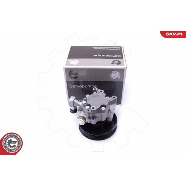 Servopump Esen skv 10SKV235 ESEN SKV
