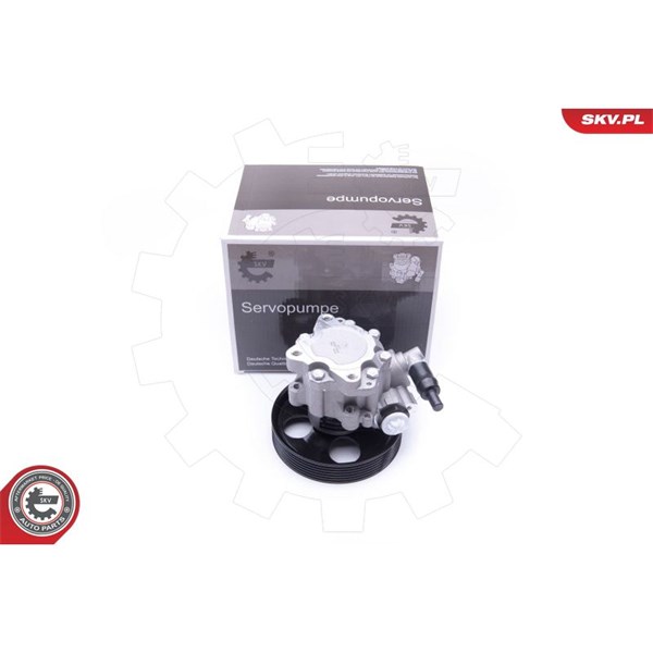 Servopump Esen skv 10SKV240 ESEN SKV