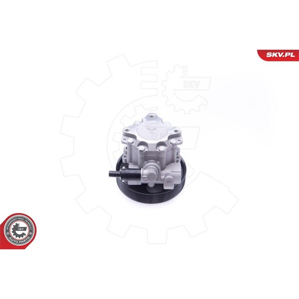 Servopump Esen skv 10SKV240 ESEN SKV Servopump Esen skv 10SKV240 ESEN SKV