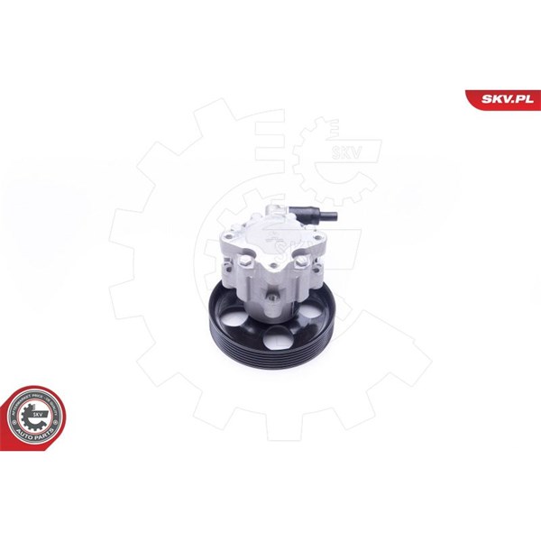 Servopump Esen skv 10SKV240 ESEN SKV Servopump Esen skv 10SKV240 ESEN SKV