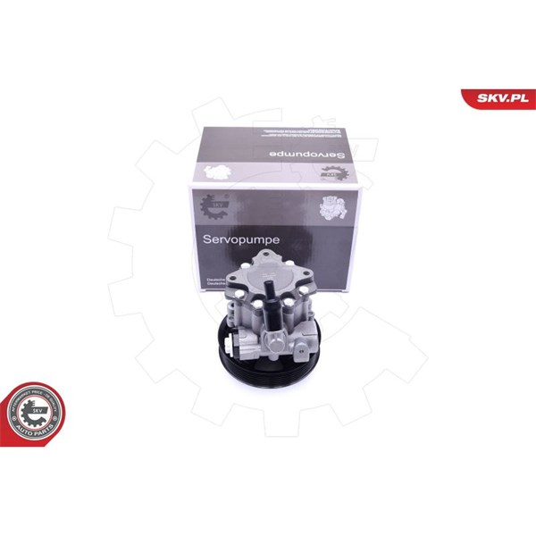 Servopump Esen skv 10SKV241 ESEN SKV