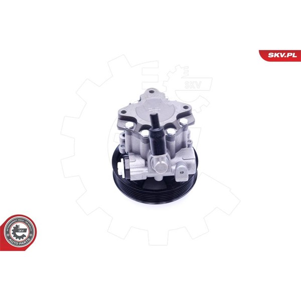 Servopump Esen skv 10SKV241 ESEN SKV