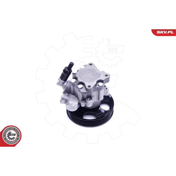 Servopump Esen skv 10SKV241 ESEN SKV