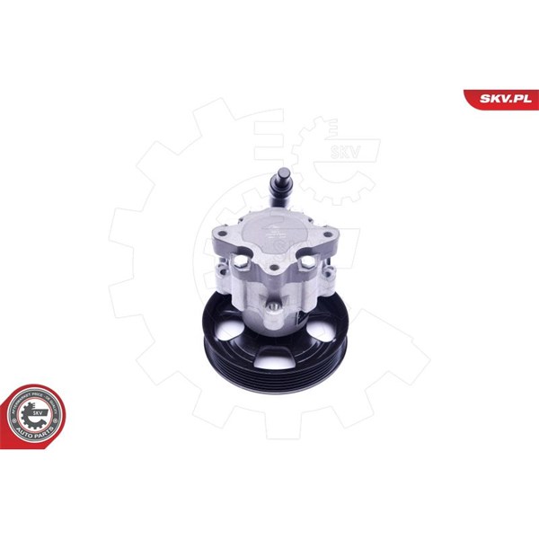 Servopump Esen skv 10SKV241 ESEN SKV