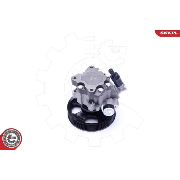 Servopump Esen skv 10SKV241 ESEN SKV