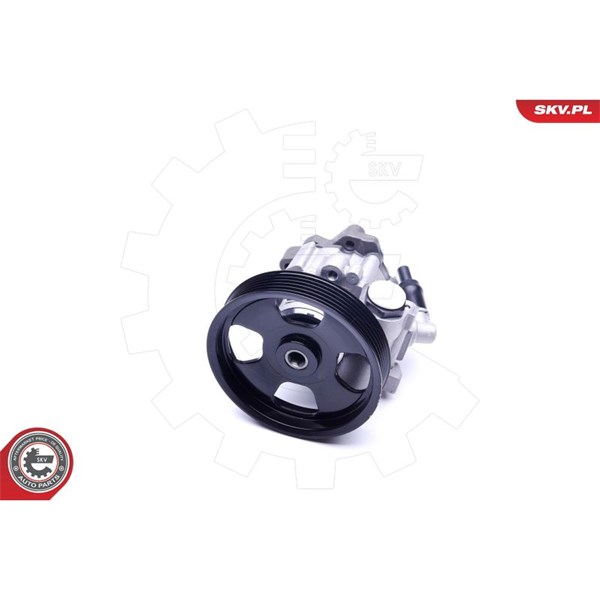 Servopump Esen skv 10SKV241 ESEN SKV