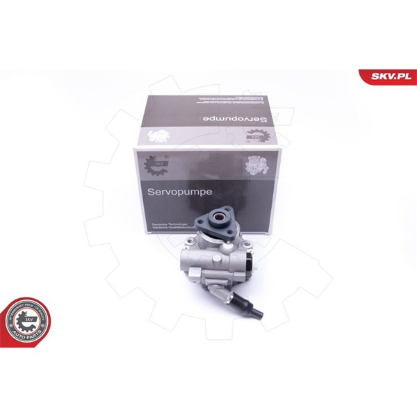 Servopump Esen skv 10SKV243 ESEN SKV