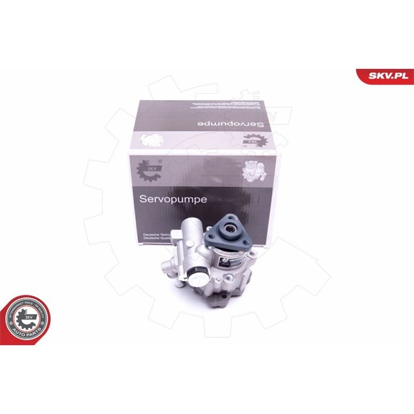 Servopump Esen skv 10SKV248 ESEN SKV