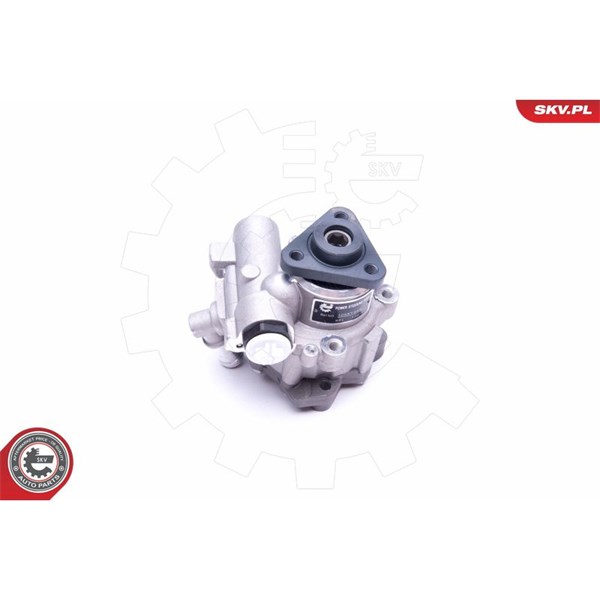 Servopump Esen skv 10SKV248 ESEN SKV
