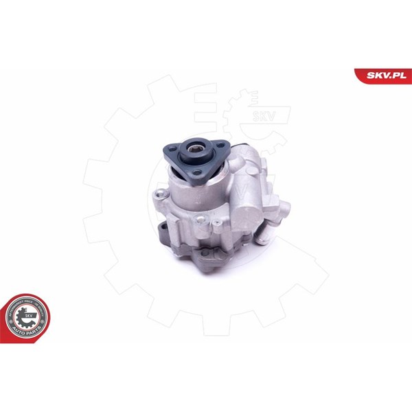 Servopump Esen skv 10SKV248 ESEN SKV