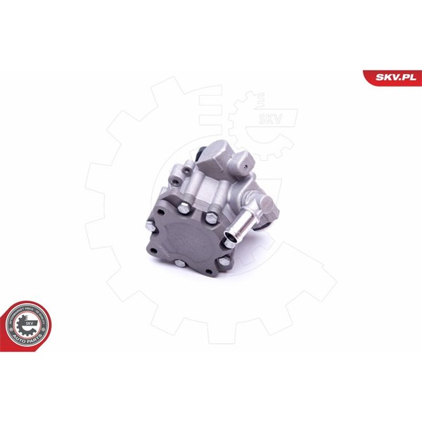Servopump Esen skv 10SKV248 ESEN SKV