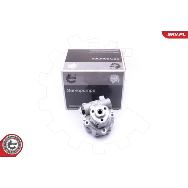 Servopump Esen skv 10SKV256 ESEN SKV