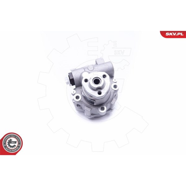 Servopump Esen skv 10SKV256 ESEN SKV