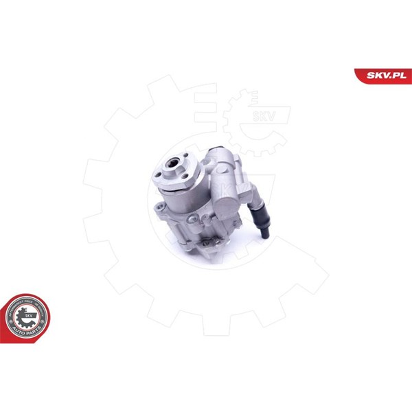 Servopump Esen skv 10SKV256 ESEN SKV