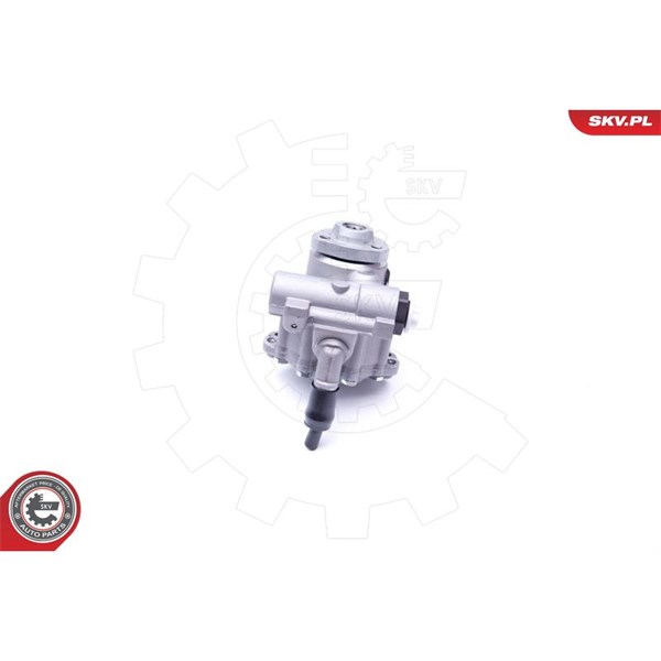 Servopump Esen skv 10SKV256 ESEN SKV