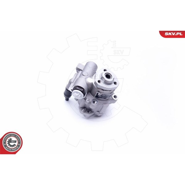 Servopump Esen skv 10SKV256 ESEN SKV