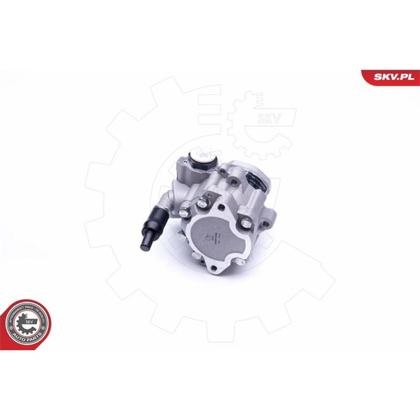Servopump Esen skv 10SKV256 ESEN SKV