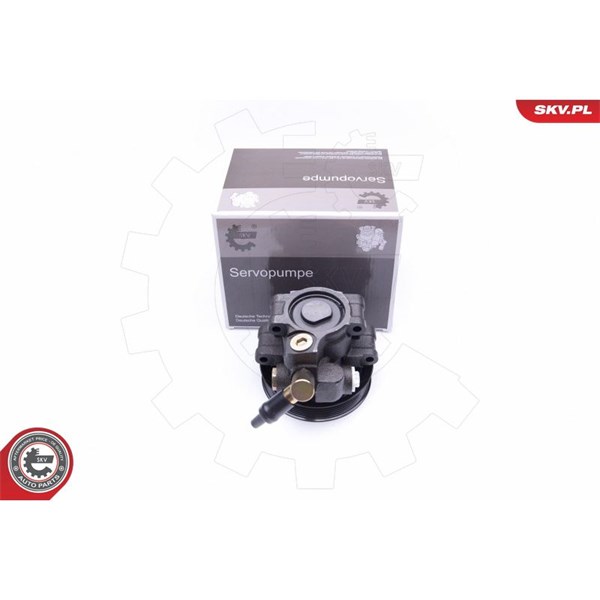 Servopump Esen skv 10SKV260 ESEN SKV
