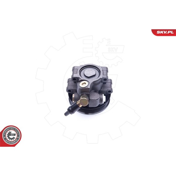 Servopump Esen skv 10SKV260 ESEN SKV