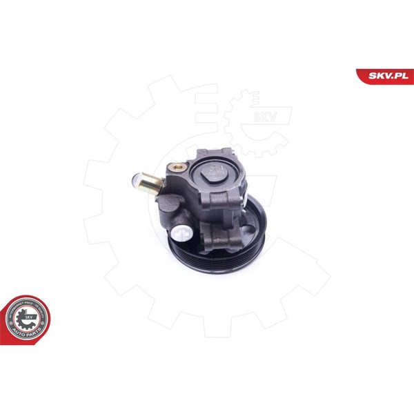Servopump Esen skv 10SKV260 ESEN SKV