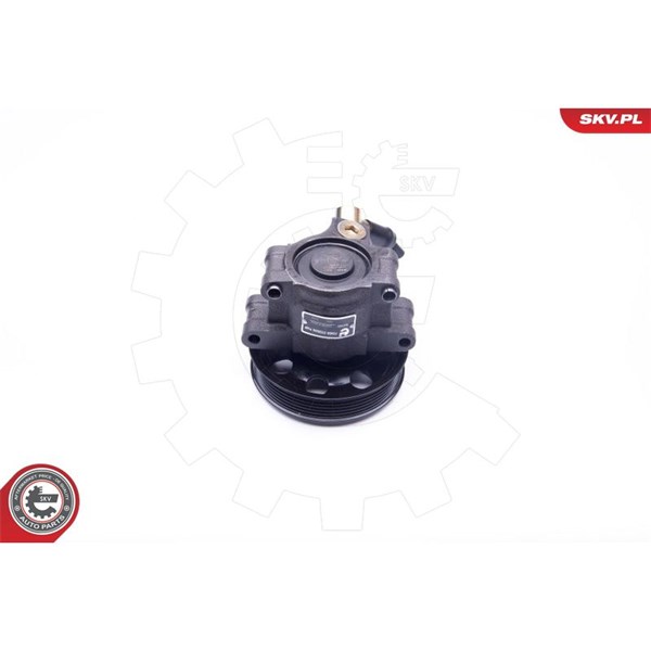 Servopump Esen skv 10SKV260 ESEN SKV