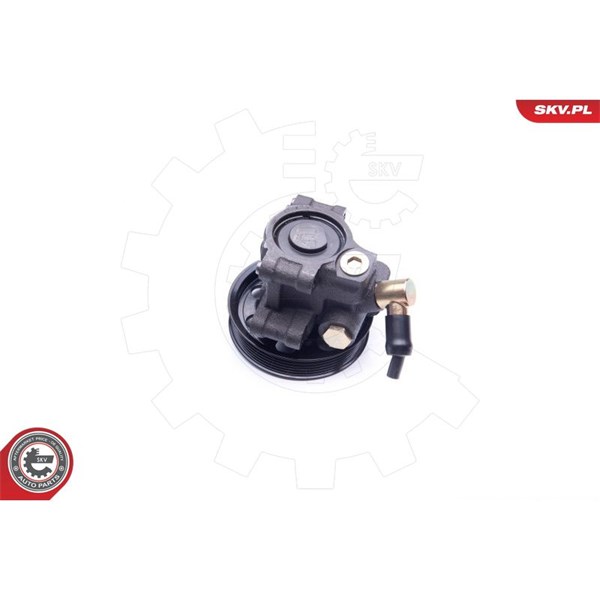 Servopump Esen skv 10SKV260 ESEN SKV