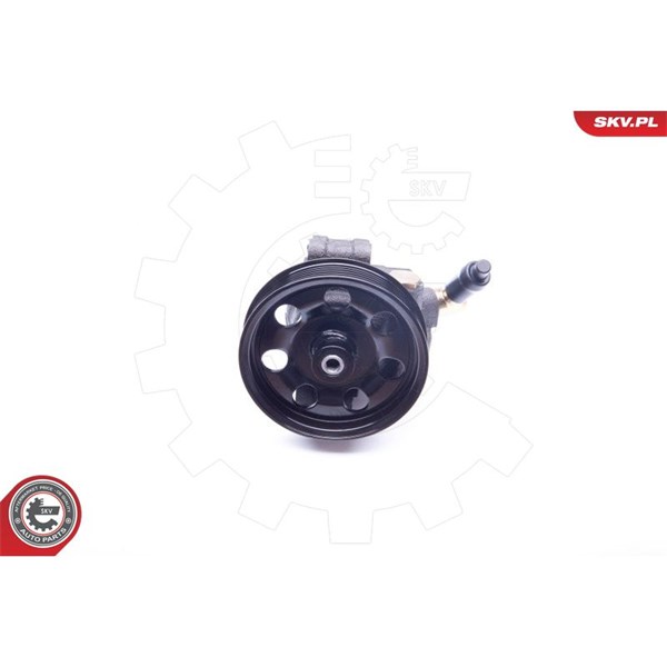Servopump Esen skv 10SKV260 ESEN SKV