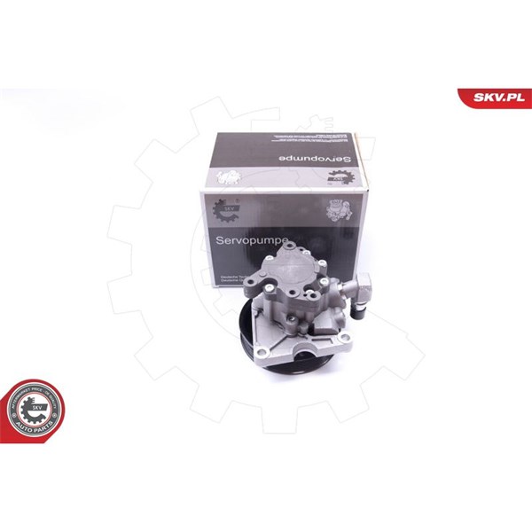 Servopump Esen skv 10SKV270 ESEN SKV