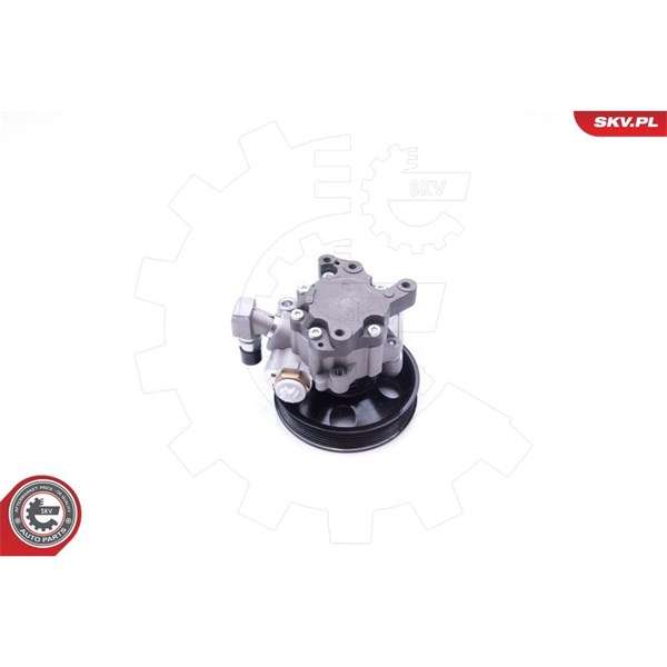 Servopump Esen skv 10SKV270 ESEN SKV Servopump Esen skv 10SKV270 ESEN SKV