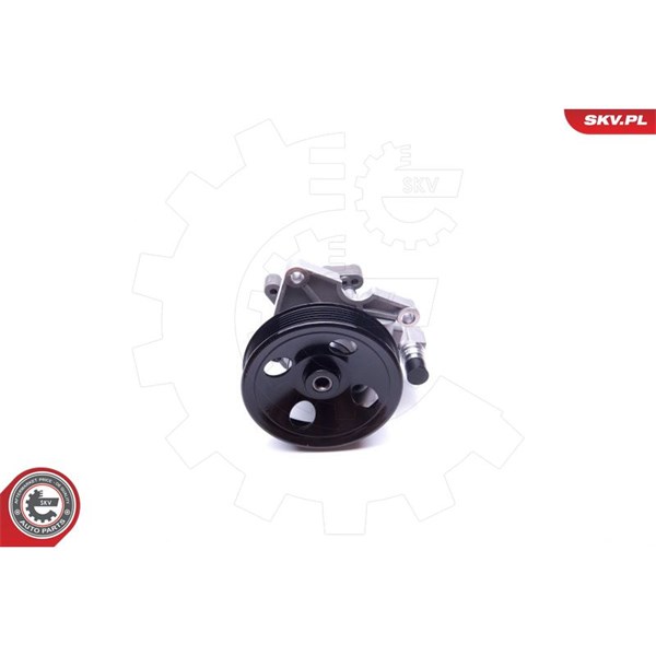 Servopump Esen skv 10SKV270 ESEN SKV