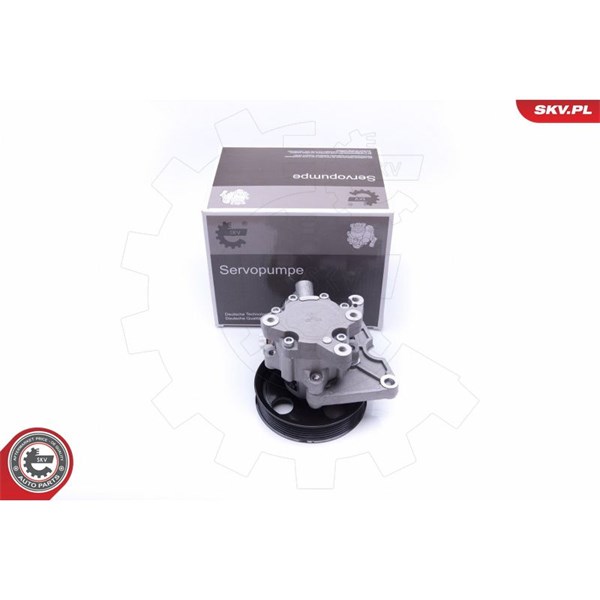 Servopump Esen skv 10SKV271 ESEN SKV Servopump Esen skv 10SKV271 ESEN SKV