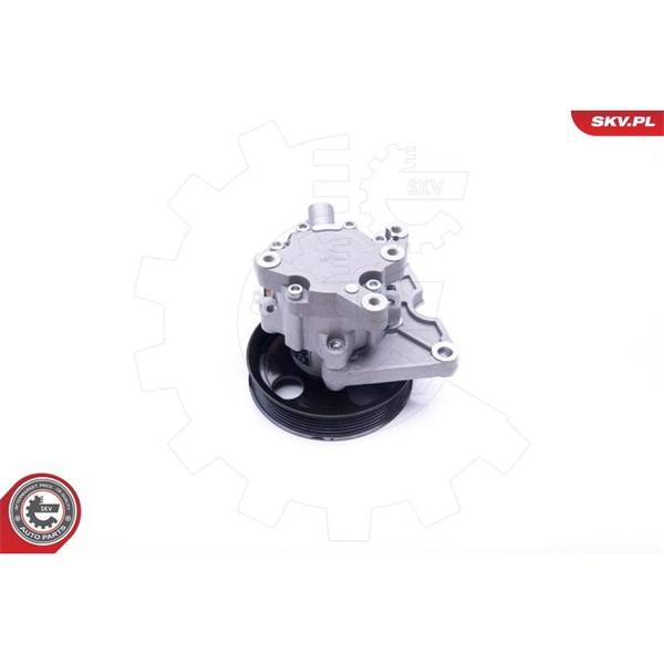 Servopump Esen skv 10SKV271 ESEN SKV Servopump Esen skv 10SKV271 ESEN SKV