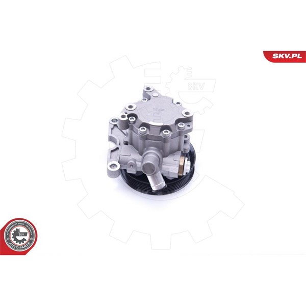 Servopump Esen skv 10SKV271 ESEN SKV Servopump Esen skv 10SKV271 ESEN SKV