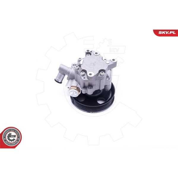 Servopump Esen skv 10SKV271 ESEN SKV