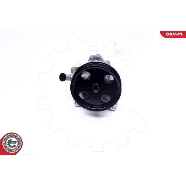 Servopump Esen skv 10SKV271 ESEN SKV
