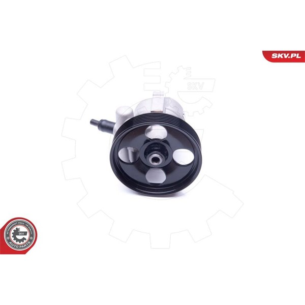Servopump Esen skv 10SKV281 ESEN SKV
